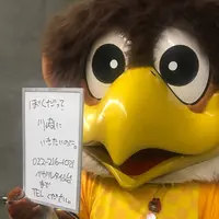 ユアテックスタジアム仙台の写真・動画_image_271417