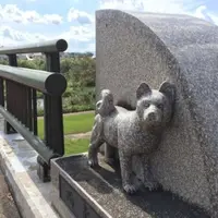 米代川の写真・動画_image_271705