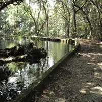 冷水の池の写真・動画_image_271782