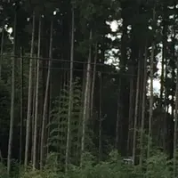 草津白根山の写真・動画_image_271808
