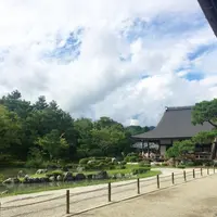 天龍寺の写真・動画_image_271882