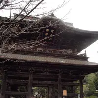 建長寺の写真・動画_image_272101