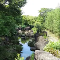 竹林園の写真・動画_image_272126