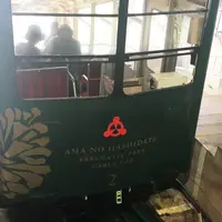 天橋立ケーブルカーの写真・動画_image_272244