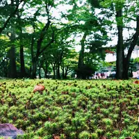 兼六園の写真・動画_image_272351