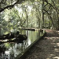冷水の池の写真・動画_image_272475