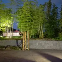 竹林園の写真・動画_image_272493