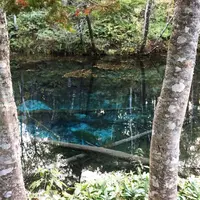 神の子池の写真・動画_image_272717