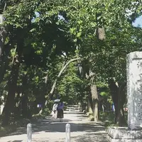 浄真寺の写真・動画_image_272889