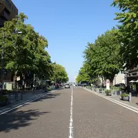 日本大通りの写真・動画_image_273034