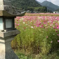 三田市の写真・動画_image_273080
