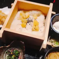 おまかせ料理滴屋の写真・動画_image_273365