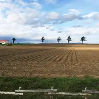 メルヘンの丘の写真・動画_image_273478