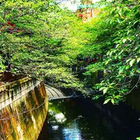 目黒天空庭園の写真・動画_image_273610