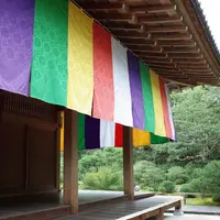 智積院の写真・動画_image_273811