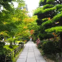 円通院の写真・動画_image_273889