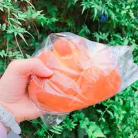 【閉業】神楽坂 亀井堂の写真・動画_image_273927