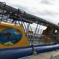 水中観光船「にじいろさかな号」の写真・動画_image_274401