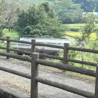 第二十一チェックポイントの写真・動画_image_274688