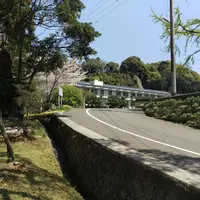 第五チェックポイントの写真・動画_image_274691