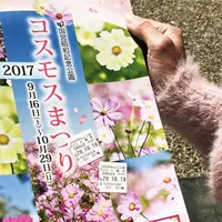 国営昭和記念公園の写真・動画_image_274968