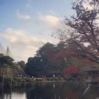 兼六園の写真・動画_image_275303