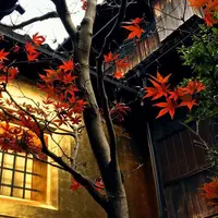 箔座 箔座ひかり藏の写真・動画_image_275318