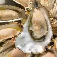 オイスターバル ボノ（ｂｏｎｏ）の写真・動画_image_275577