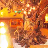 湯田中温泉 よろづやの写真・動画_image_275716