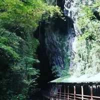 秋芳洞の写真・動画_image_276316