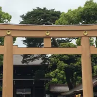 明治神宮の写真・動画_image_276527