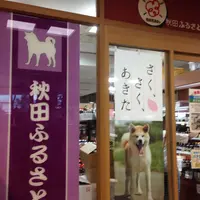 秋田ふるさと館の写真・動画_image_276767