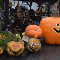 萌木の村の写真・動画_image_276814