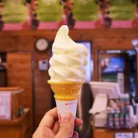 清泉寮ジャージーハットの写真・動画_image_276819