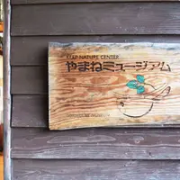 キープやまねミュージアムの写真・動画_image_276820