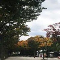 代々木公園の写真・動画_image_277101