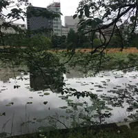 不忍池辯天堂の写真・動画_image_277129