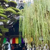 六角堂の写真・動画_image_277702
