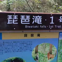 高尾山の写真・動画_image_278096