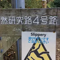 高尾山の写真・動画_image_278119