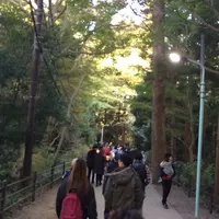 高尾山の写真・動画_image_278122