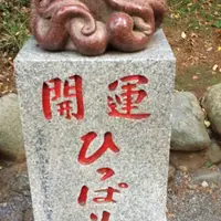 たこ杉の写真・動画_image_278123