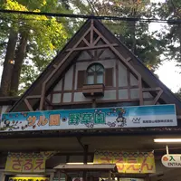 高尾山の写真・動画_image_278124