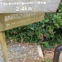 高尾山の写真・動画_image_278125