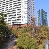 目黒天空庭園の写真・動画_image_278277