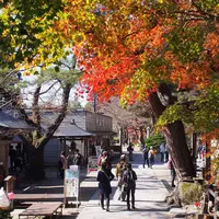 山寺の写真・動画_image_278721