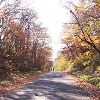 地獄谷遊歩道の写真・動画_image_278727