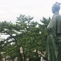 桂浜の写真・動画_image_278795