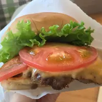 シェイクシャック 外苑いちょう並木店 （SHAKE SHACK）の写真・動画_image_279029