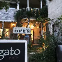 Agato（アガト）の写真・動画_image_279103